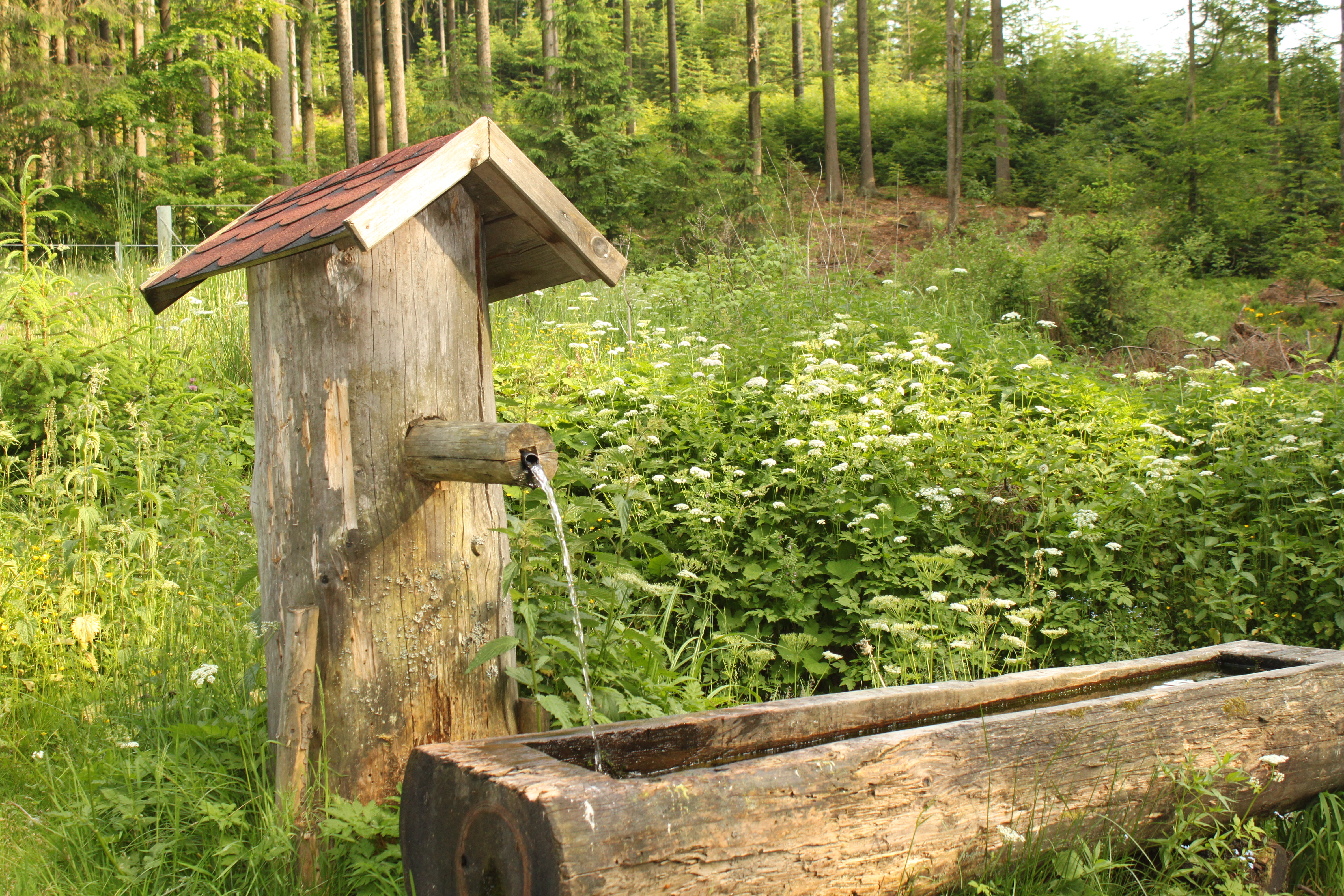 Ausflugsziel: Zeltplatz Bärnkopf
