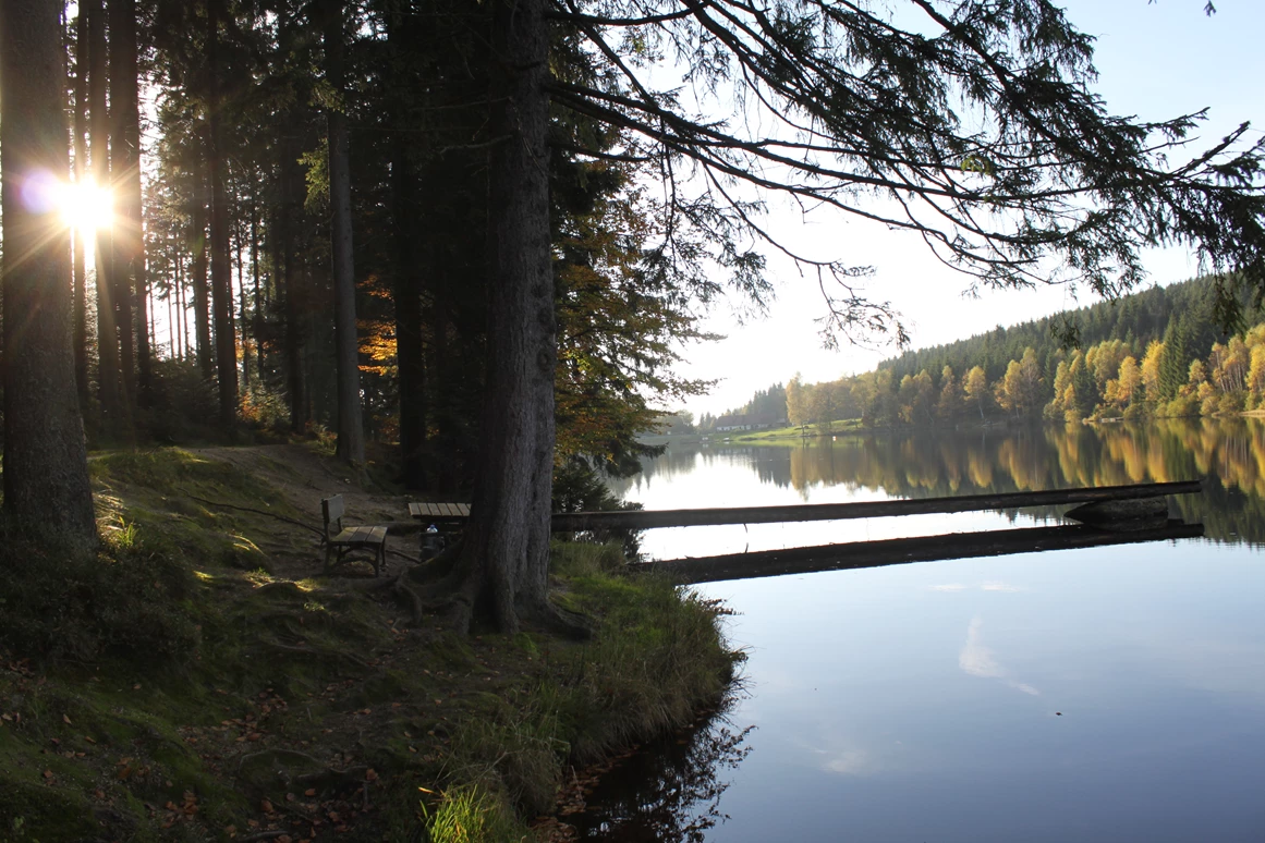 Ausflugsziel: Schlesingerteich