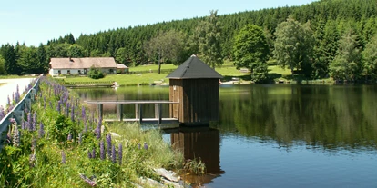 Reis met kinderen - Ybbs an der Donau - Schlesingerteich