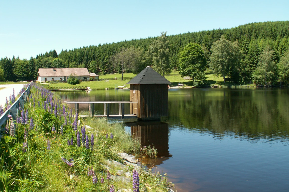 Ausflugsziel: Schlesingerteich