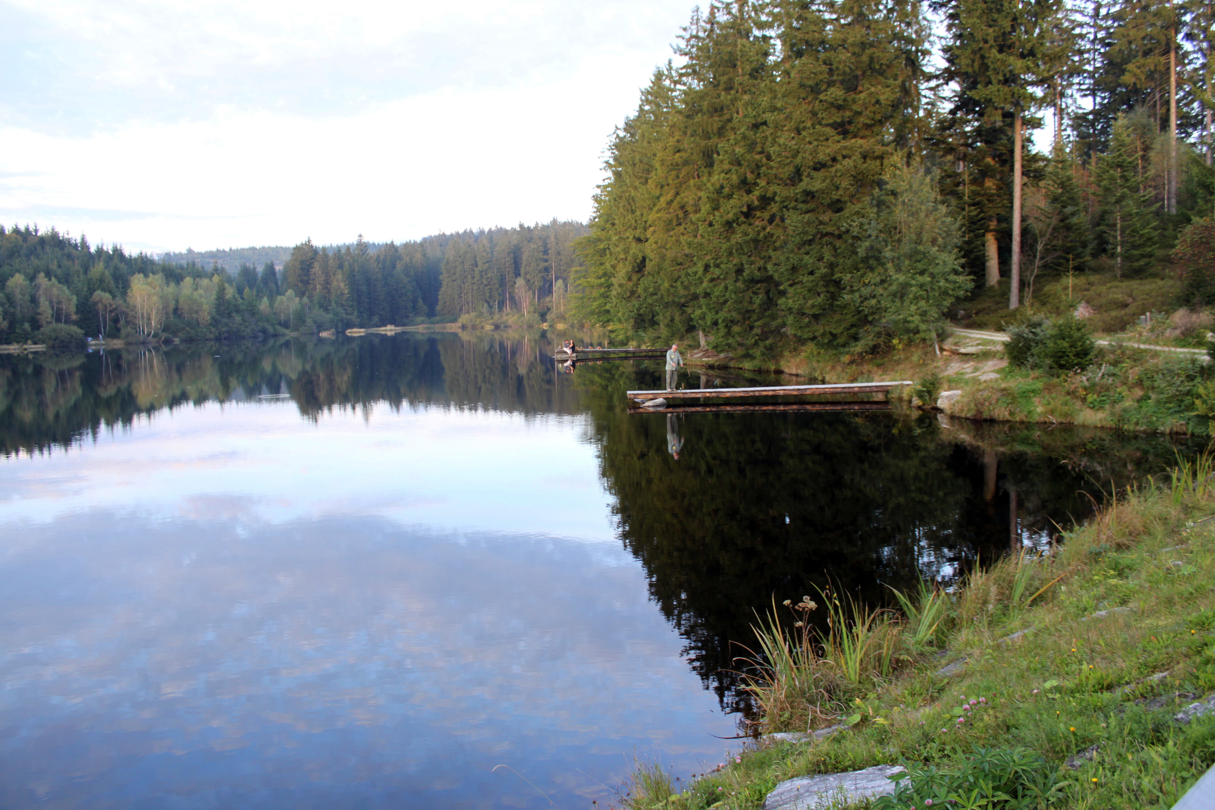 Ausflug mit Kindern - Hagenberg im Mühlkreis - Schlesingerteich