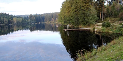 Reis met kinderen - Ybbs an der Donau - Schlesingerteich