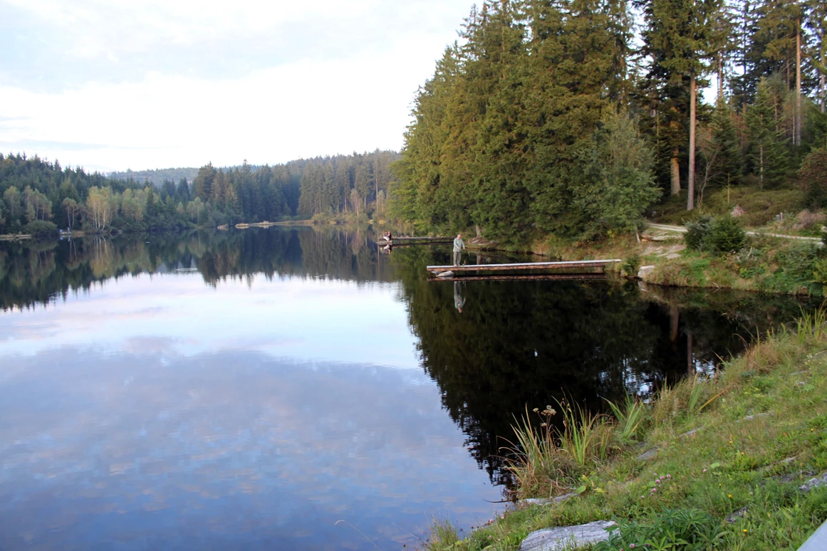 Ausflugsziel: Schlesingerteich