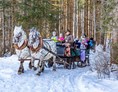 Ausflugsziel: Pferdeschlittenfahrt in Weißenbach - Pferdeschlitten- und -kutschenfahrten in Haus und Aich
