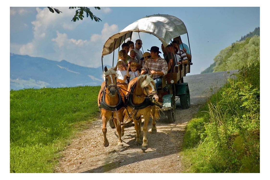 Ausflugsziel: Pferdekutschenfahrt in Aich - Pferdeschlitten- und -kutschenfahrten in Haus und Aich