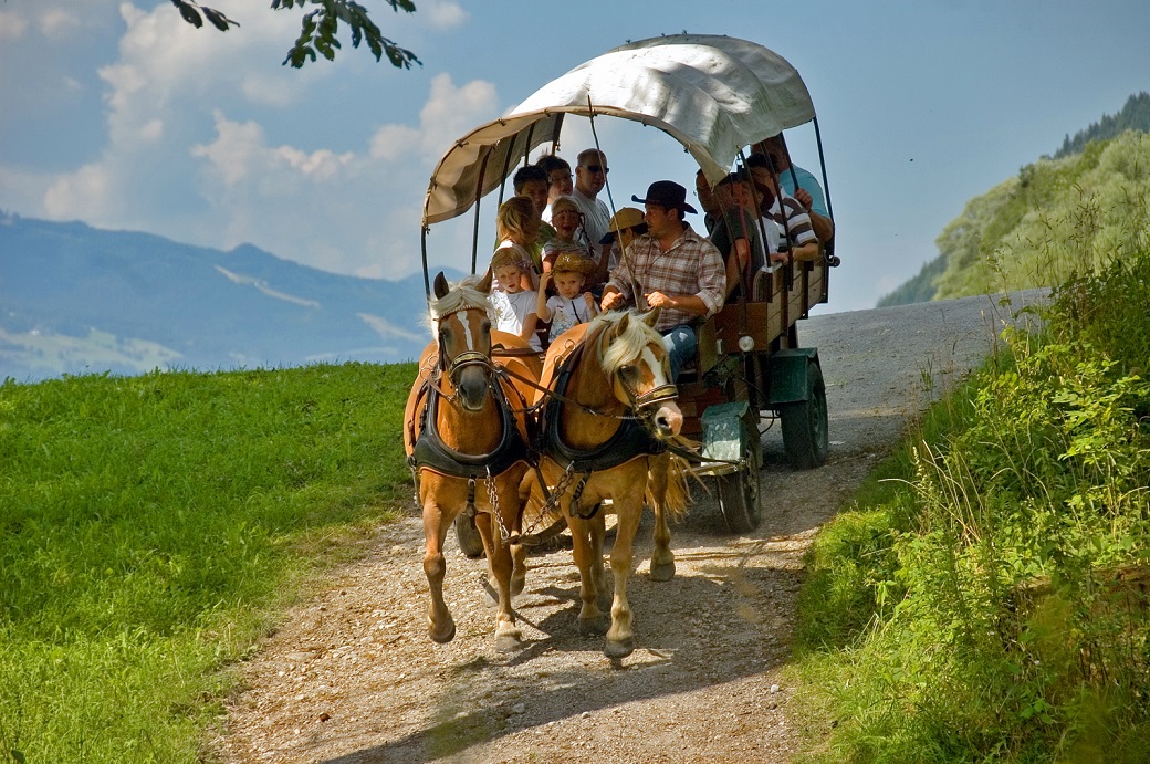 Ausflugsziel: Pferdeschlitten- und -kutschenfahrten in Haus und Aich