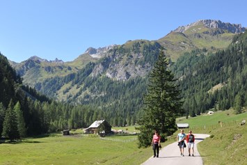Ausflugsziel: Wandern von Hütte zu Hütte im Naturpark Riedingtal - Naturpark Riedingtal