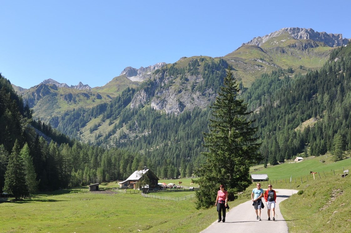 Ausflugsziel: Wandern von Hütte zu Hütte im Naturpark Riedingtal - Naturpark Riedingtal