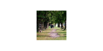 Viaggio con bambini - Felixdorf - Hornstein Lindenallee
