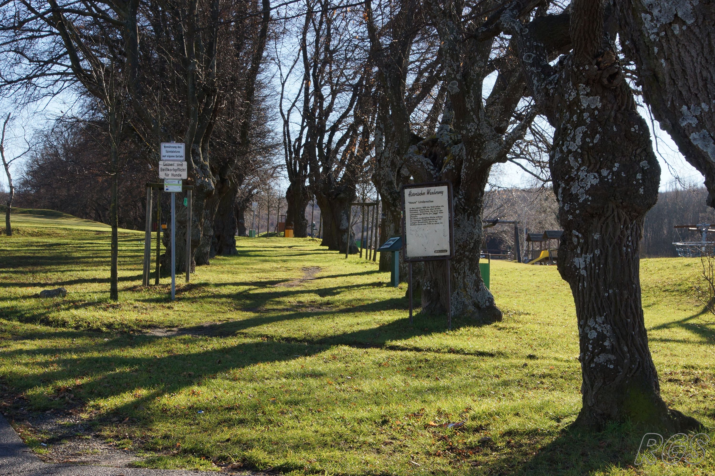 Ausflugsziel: Hornstein Lindenallee