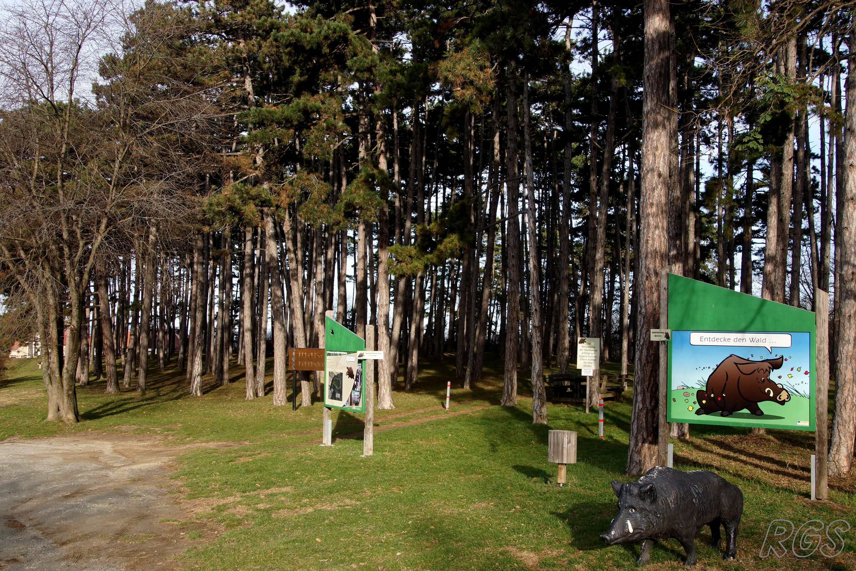 Ausflugsziel: Hornstein Walderlebnisweg
