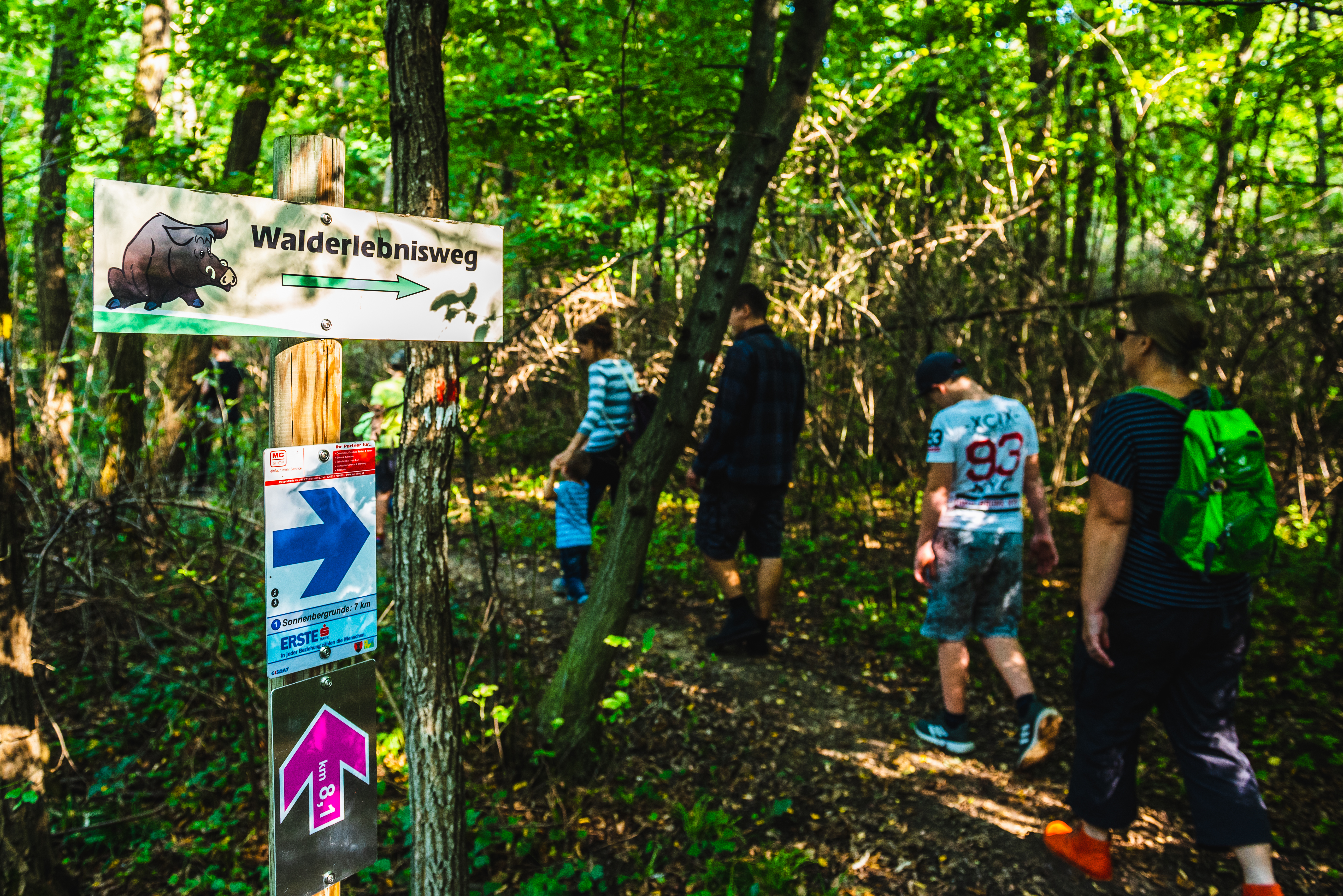 Ausflugsziel: Hornstein Walderlebnisweg