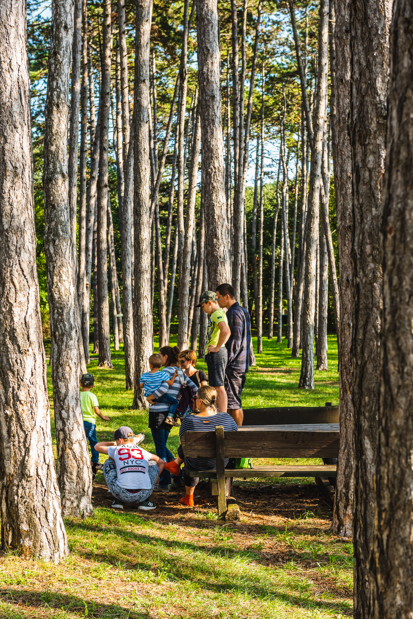 Ausflugsziel: Hornstein Walderlebnisweg