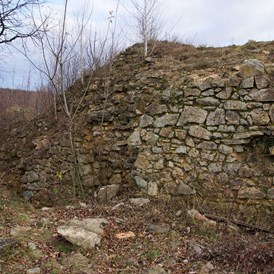 Ausflugsziel: Teil einer Mauer der Burgruine - Burgruine