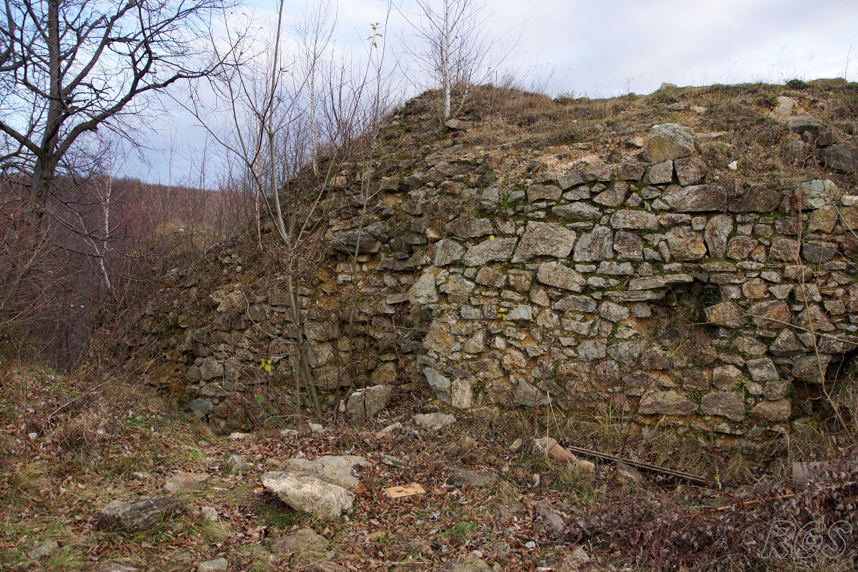 Ausflugsziel: Burgruine