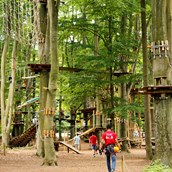 Ausflugsziel - Fun Forest AbenteuerPark Offenbach