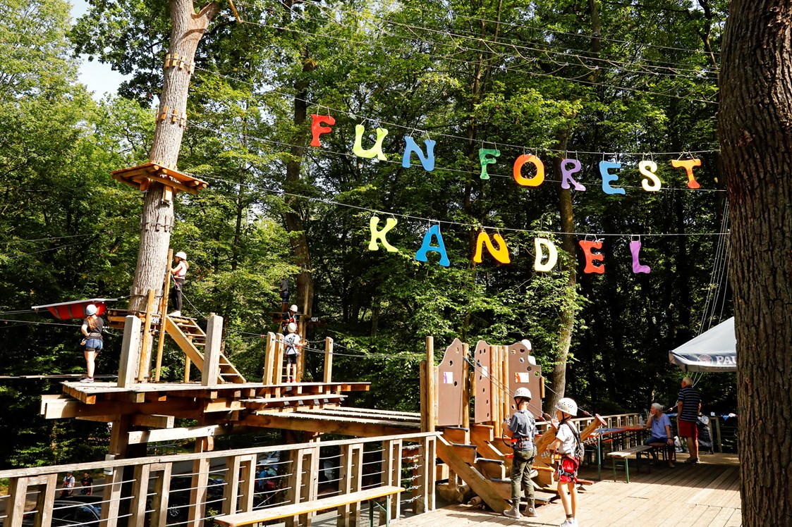 Ausflugsziel: Fun Forest AbenteuerPark Kandel