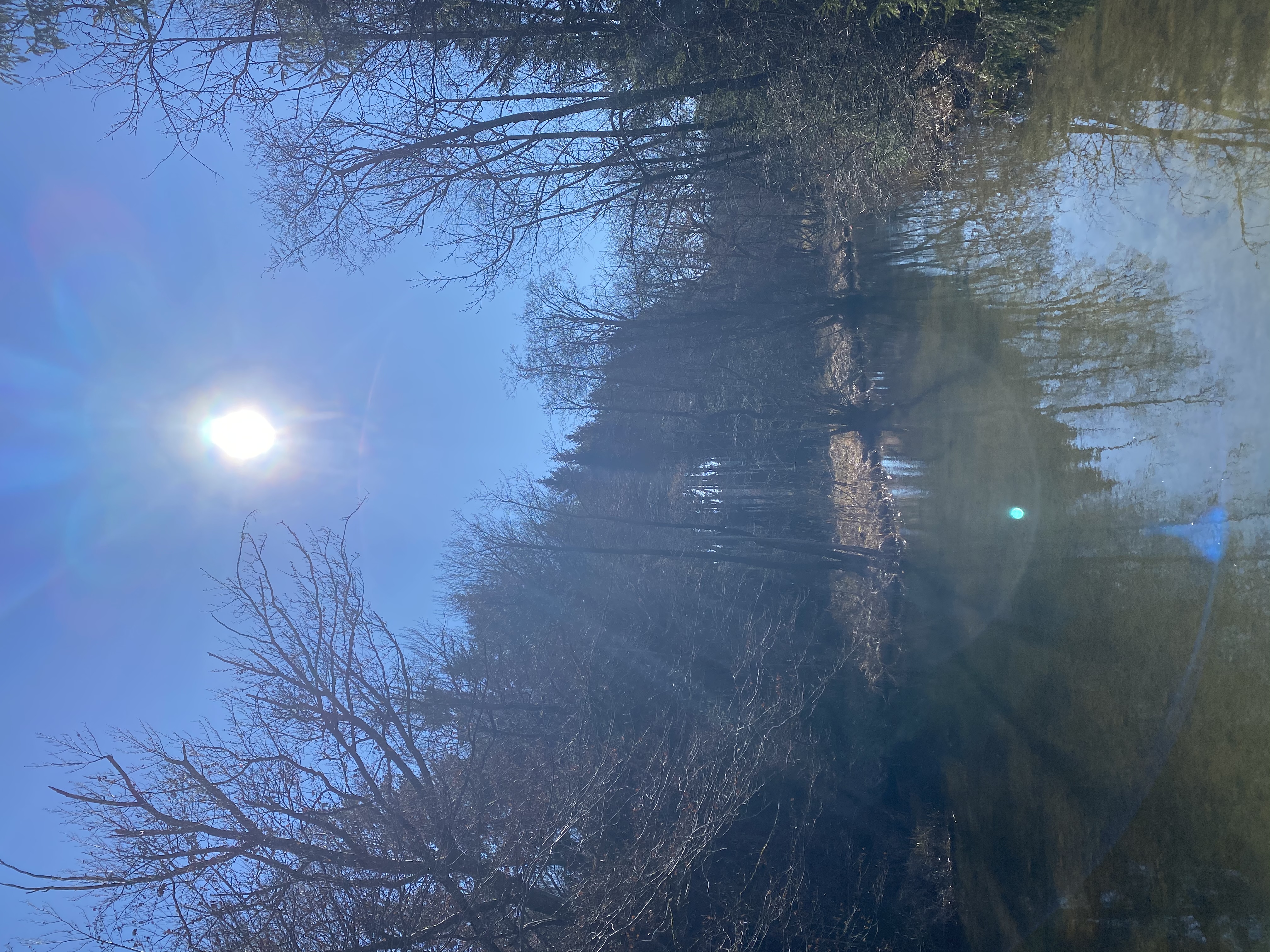 Ausflugsziel: Blick von der Brücke - Grabensee Rundwanderweg