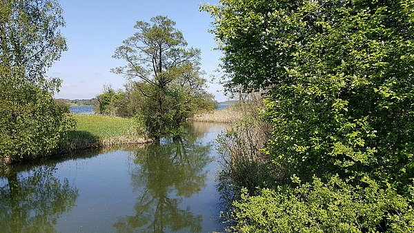 Ausflug mit Kindern - Witterung: Schnee - Salzburg - Grabensee Rundwanderweg