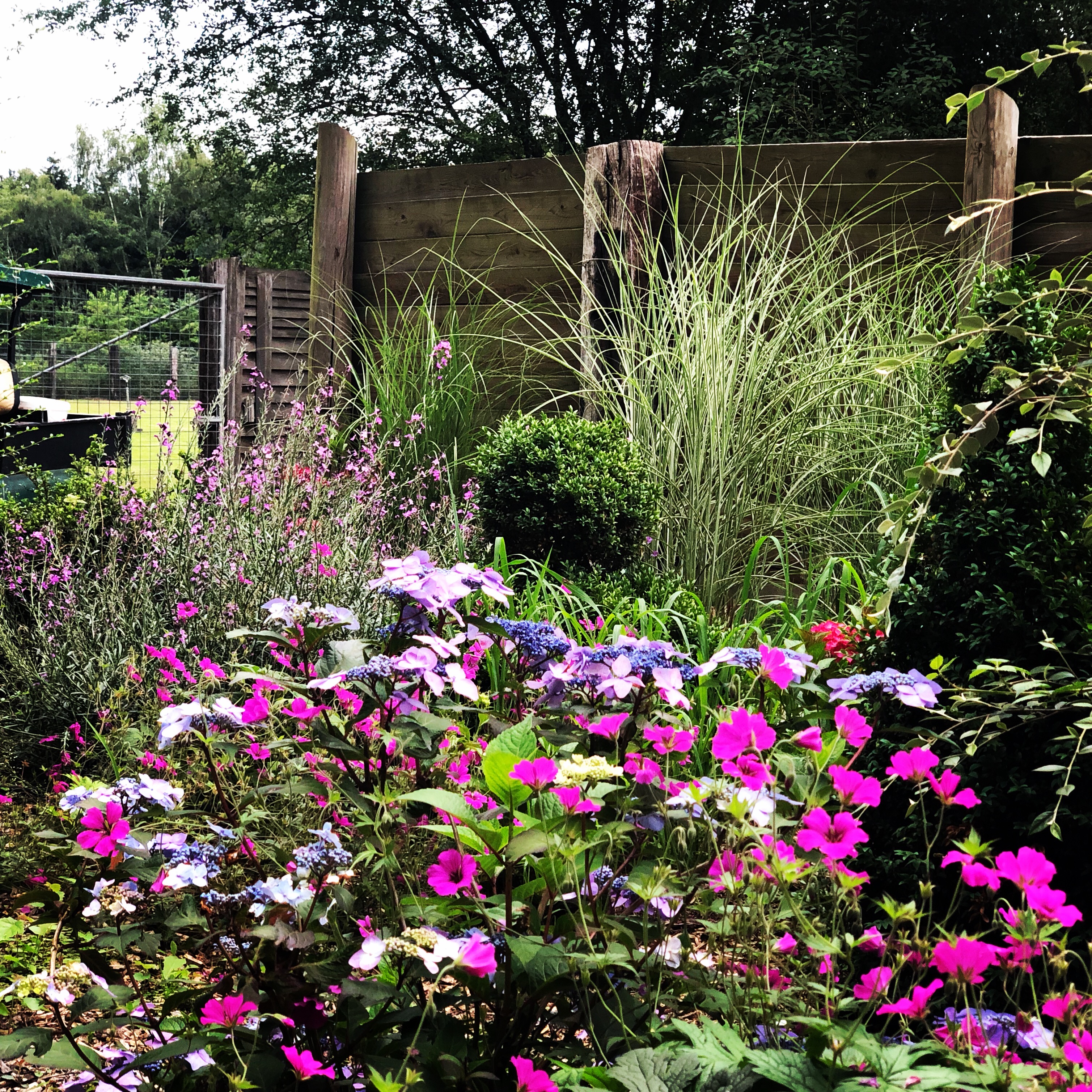 Ausflugsziel: Wild und Freizeitpark Ostrittrum