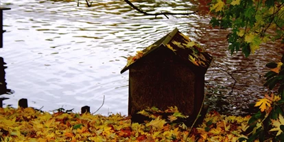 Voyage avec des enfants - Themenschwerpunkt: Tiere - Tierpark im Herbst, farbenfrohes Spektakel.  - Tierpark Petermoor