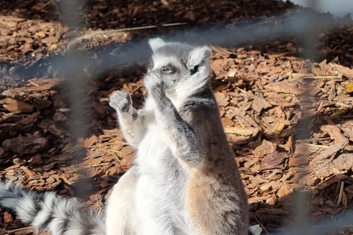 Ausflugsziel: Tierpark Petermoor