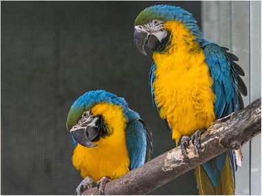 Ausflugsziel: Tierpark Petermoor