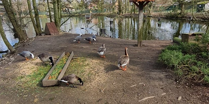 Voyage avec des enfants - Themenschwerpunkt: Tiere - Tierpark Petermoor