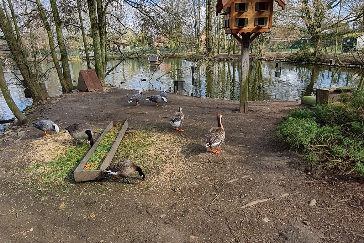 Ausflugsziel: Tierpark Petermoor