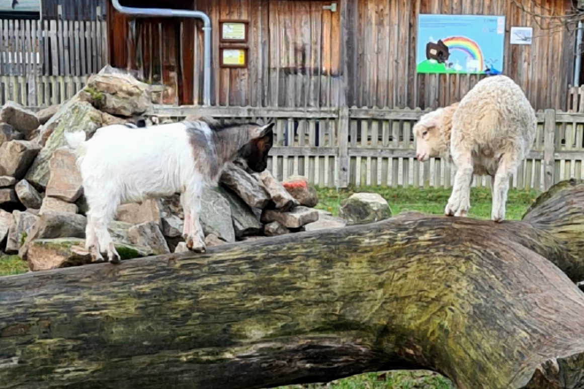 Ausflugsziel: Tierpark Petermoor