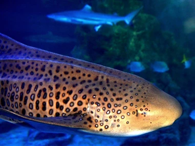 Ausflugsziel: Aquarium Wilhelmshaven