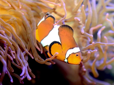 Ausflugsziel: Aquarium Wilhelmshaven