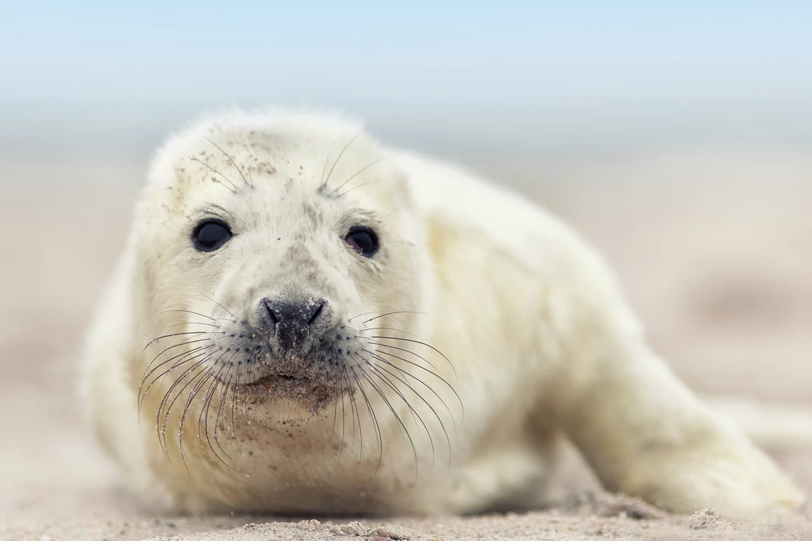 Ausflugsziel: UNESCO-Weltnaturerbe Wattenmeer Besucherzentrum Wilhelmshaven