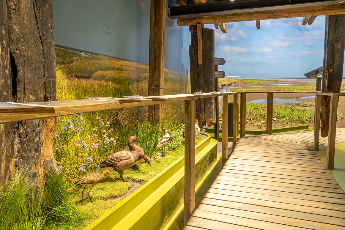 Ausflugsziel: UNESCO-Weltnaturerbe Wattenmeer Besucherzentrum Wilhelmshaven