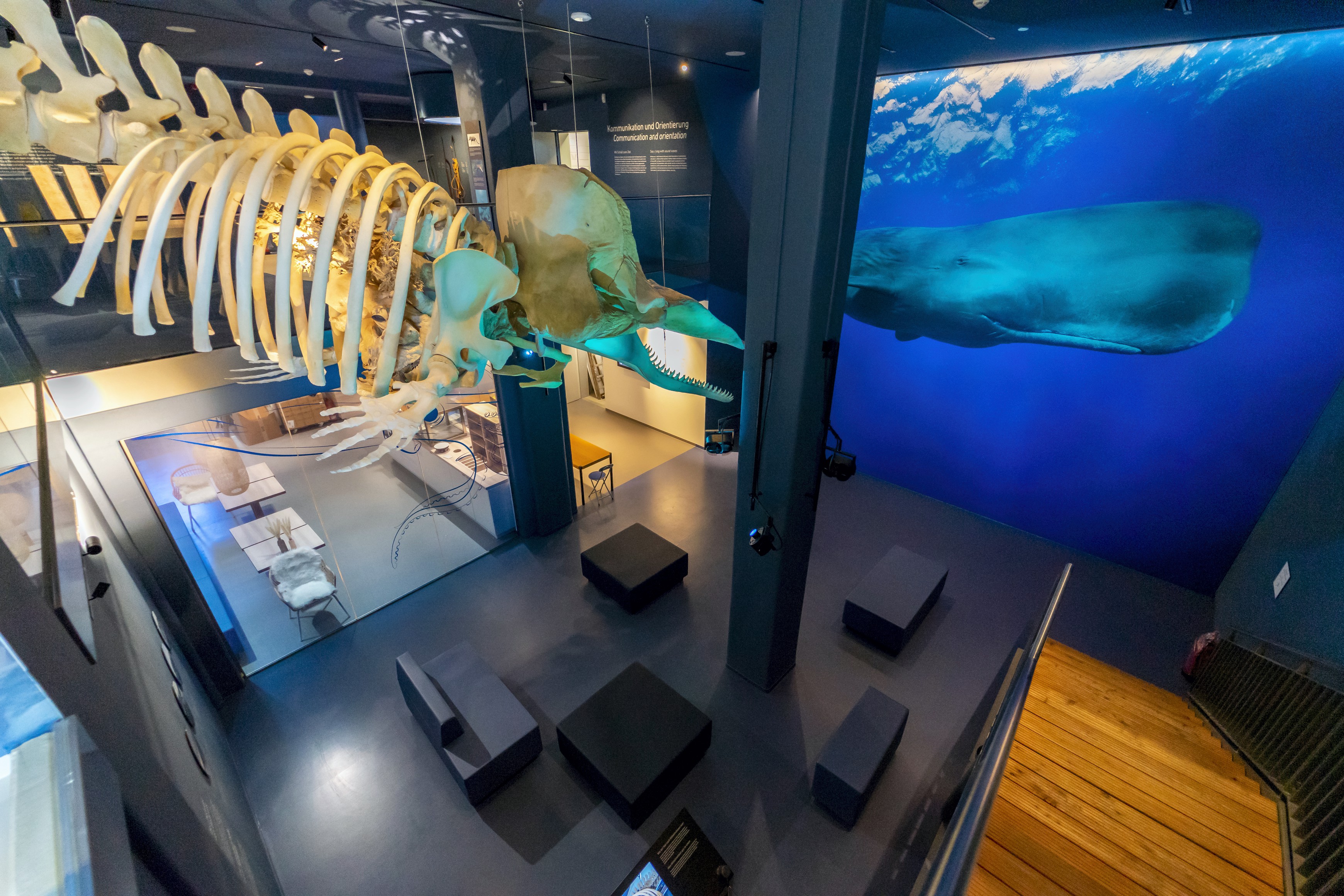 Ausflugsziel: UNESCO-Weltnaturerbe Wattenmeer Besucherzentrum Wilhelmshaven