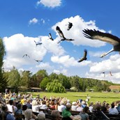 Ausflugsziel - Weltvogelpark Walsrode