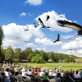 Ausflugsziel: Weltvogelpark Walsrode