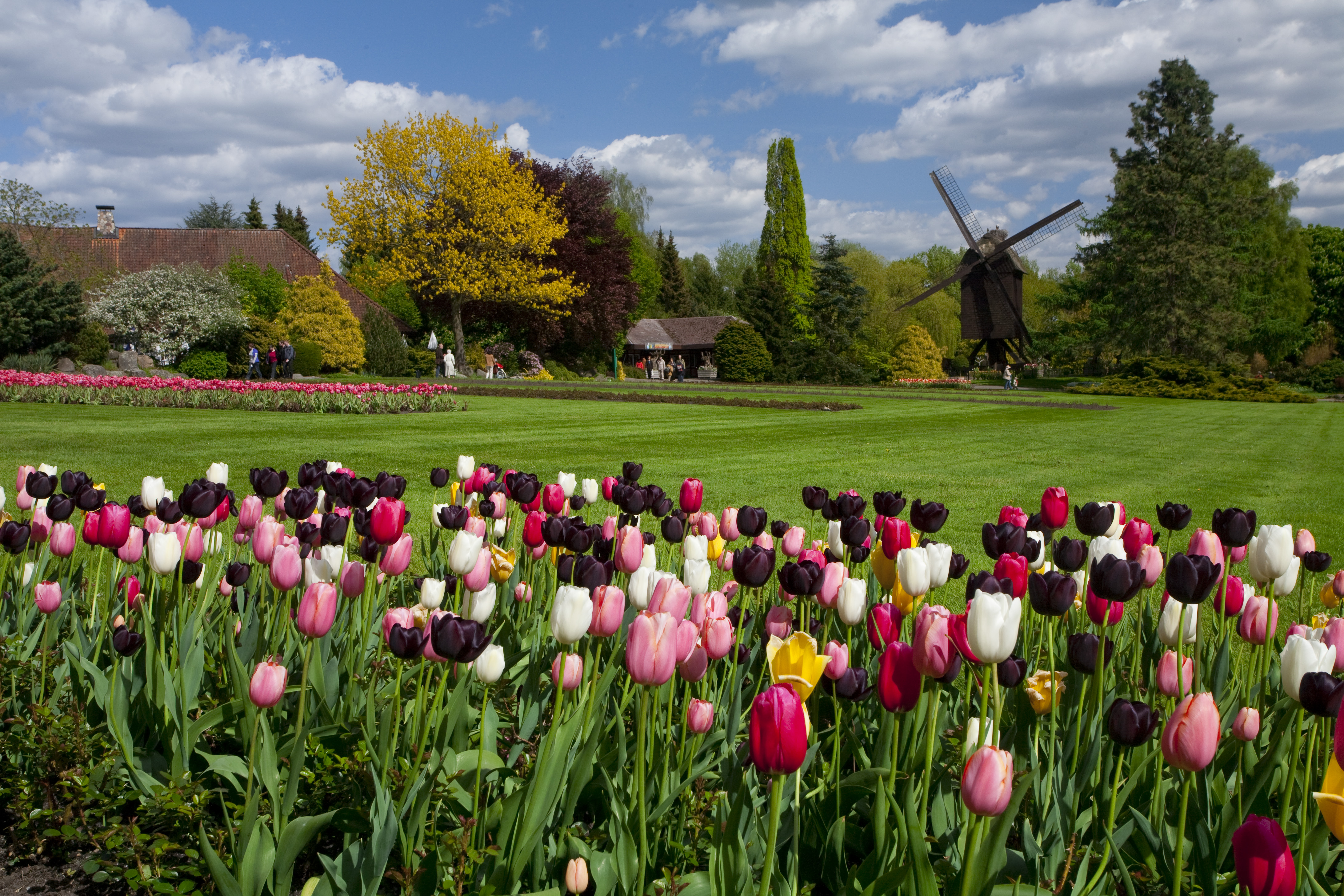 Ausflugsziel: Weltvogelpark Walsrode