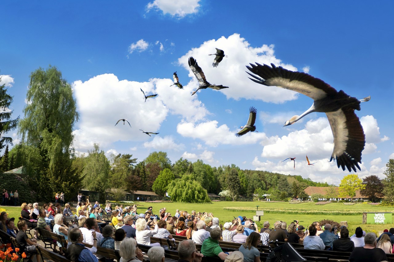 Weltvogelpark Walsrode Highlights beim Ausflugsziel Spektakuläre Flugshow