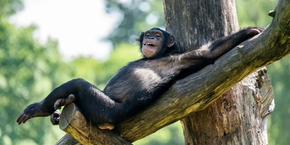 Viaggio con bambini - Rehburg-Loccum - Serengeti-Park Hodenhagen