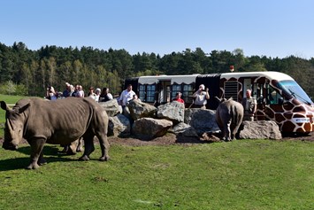 Ausflugsziel: Serengeti-Park Hodenhagen