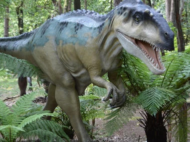 Ausflugsziel: Symbolbild für Ausflugsziel Dinosaurierpark Münchehagen. Keine korrekte oder ähnlich Darstellung! - Dinosaurierpark Münchehagen