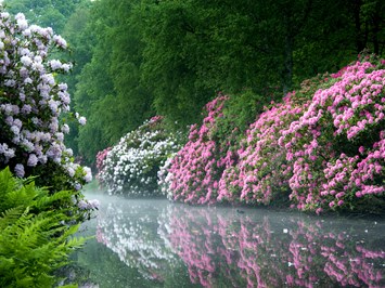 Schlosspark Lütetsburg Highlights beim Ausflugsziel Rhododendronblüte