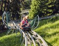Ausflugsziel: Familien-Coaster-Schneisenfeger
