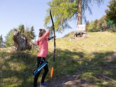 Ausflugsziel: 3D Bogen Parcours