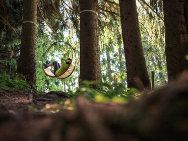 Urlaub: Waldschaukel, zu entdecken auf den Wanderwegen - Saalfelden Leogang