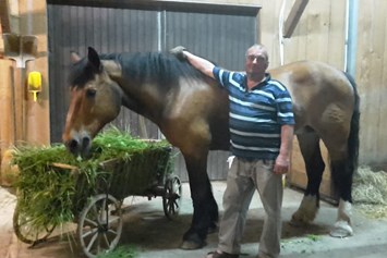 Ausflugsziel: JOE'S LEIDENSCHAFT AUF DER PFERDERANCH  Pferdekutschen und Pferdeschlittenfahrten