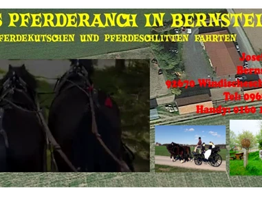 Ausflugsziel: JOE'S LEIDENSCHAFT AUF DER PFERDERANCH  Pferdekutschen und Pferdeschlittenfahrten
