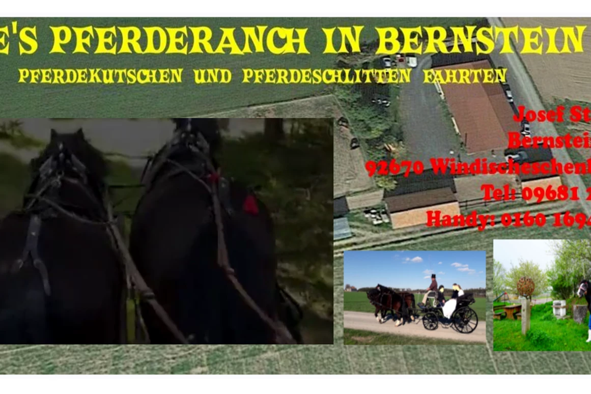 Ausflugsziel: JOE'S LEIDENSCHAFT AUF DER PFERDERANCH  Pferdekutschen und Pferdeschlittenfahrten