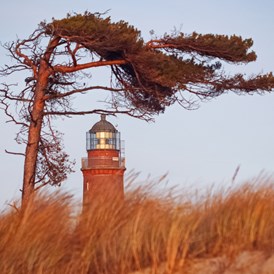 Ausflugsziel: Den Darßer Weststrand schmückt ein Leuchtturm, der Teil des NATUREUMs ist - NATUREUM Darßer Ort